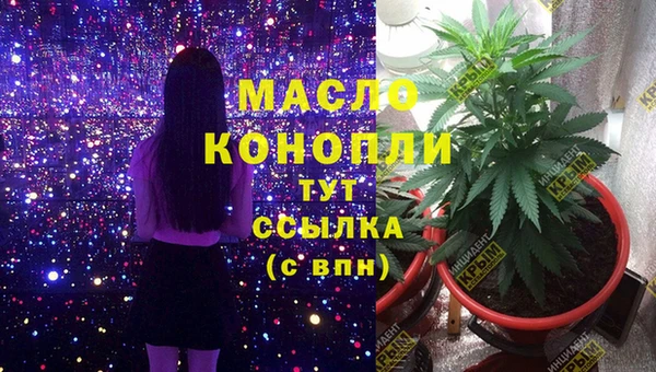 spice Богородицк